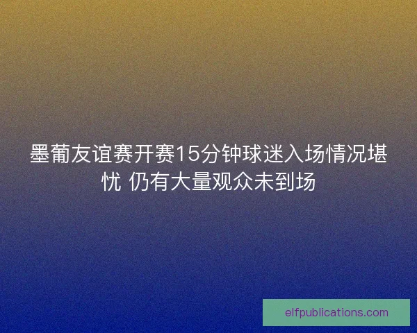 墨葡友谊赛开赛15分钟球迷入场情况堪忧 仍有大量观众未到场